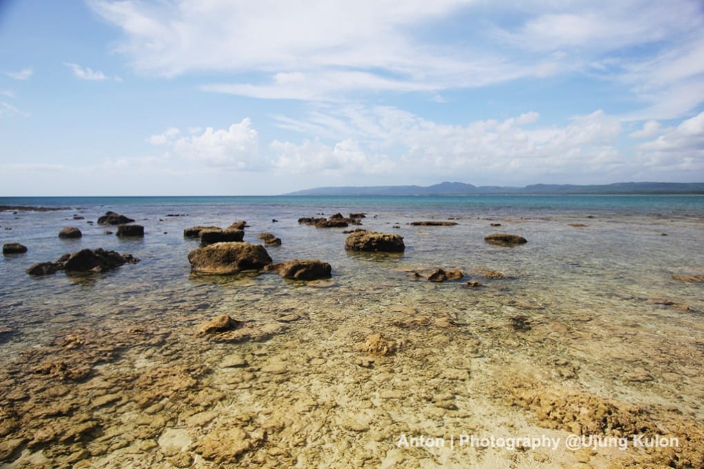 Di Ujung Pulau Peucang - Ujung Kulon